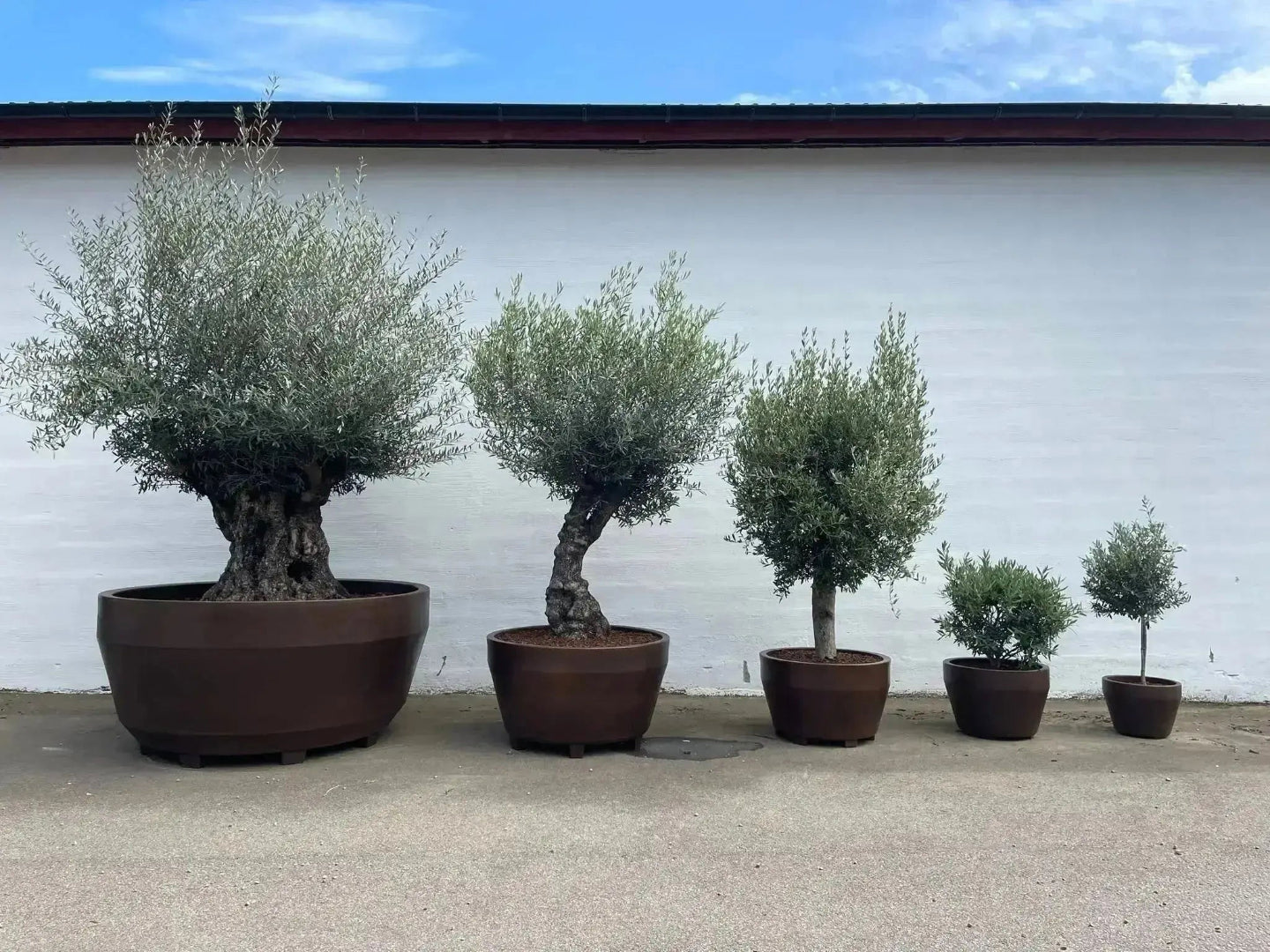 Stor blomsterpotte Ø55 cm | plantekrukke i italiensk design | JUMBO